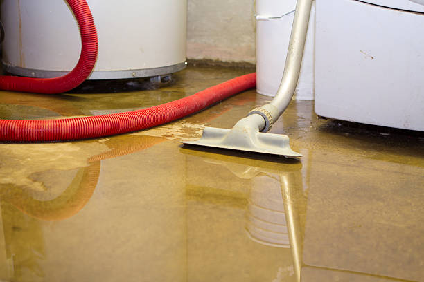 Best Carpet and Upholstery Water Damage Restoration in Lead, SD